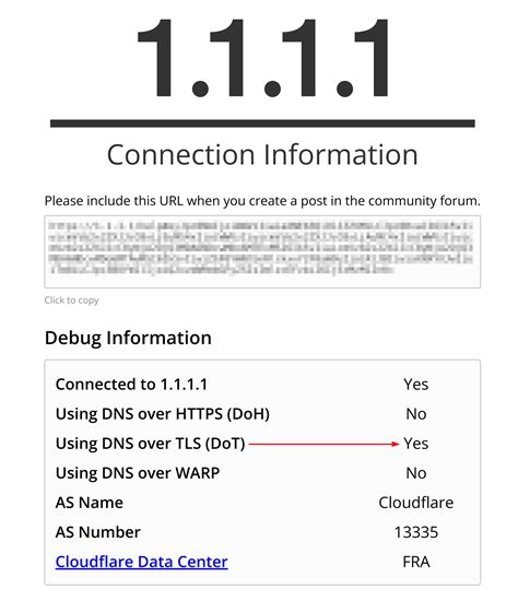 1 DNS service. . Dns over tls test